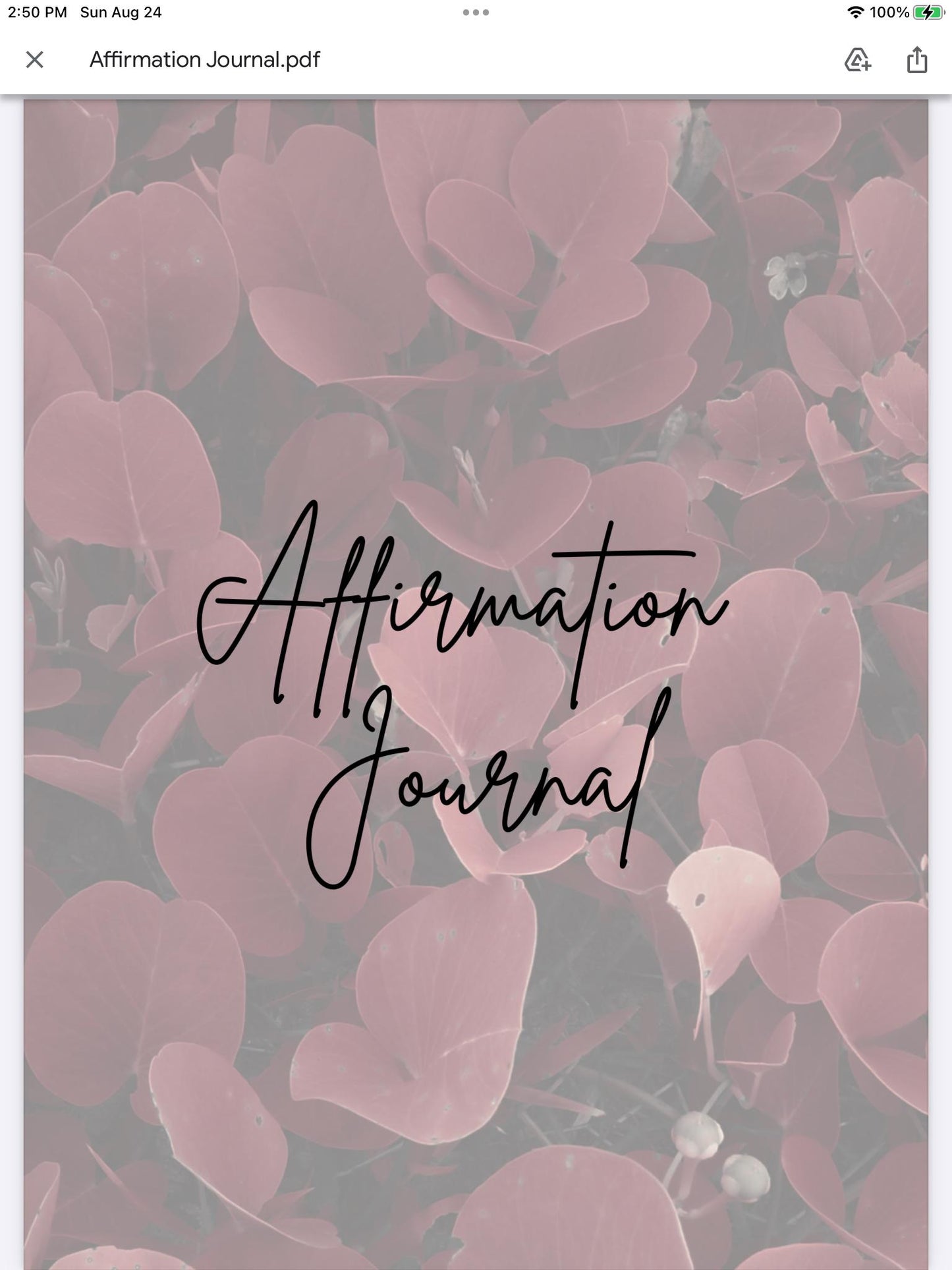 Affirmation Journal: Self-Belief & Reflection (Digital Journal