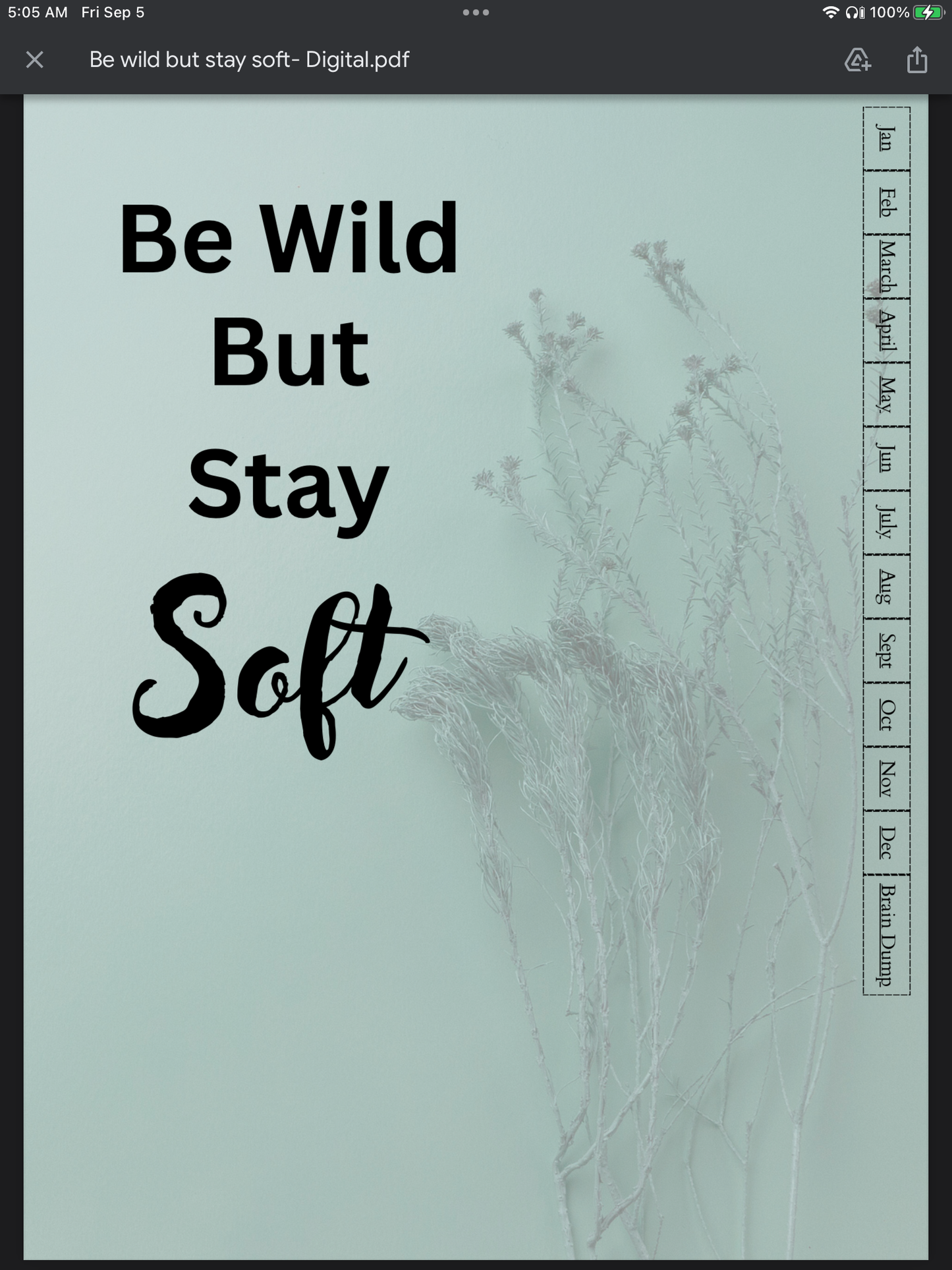 Be Wild But Stay Soft Digital Planner