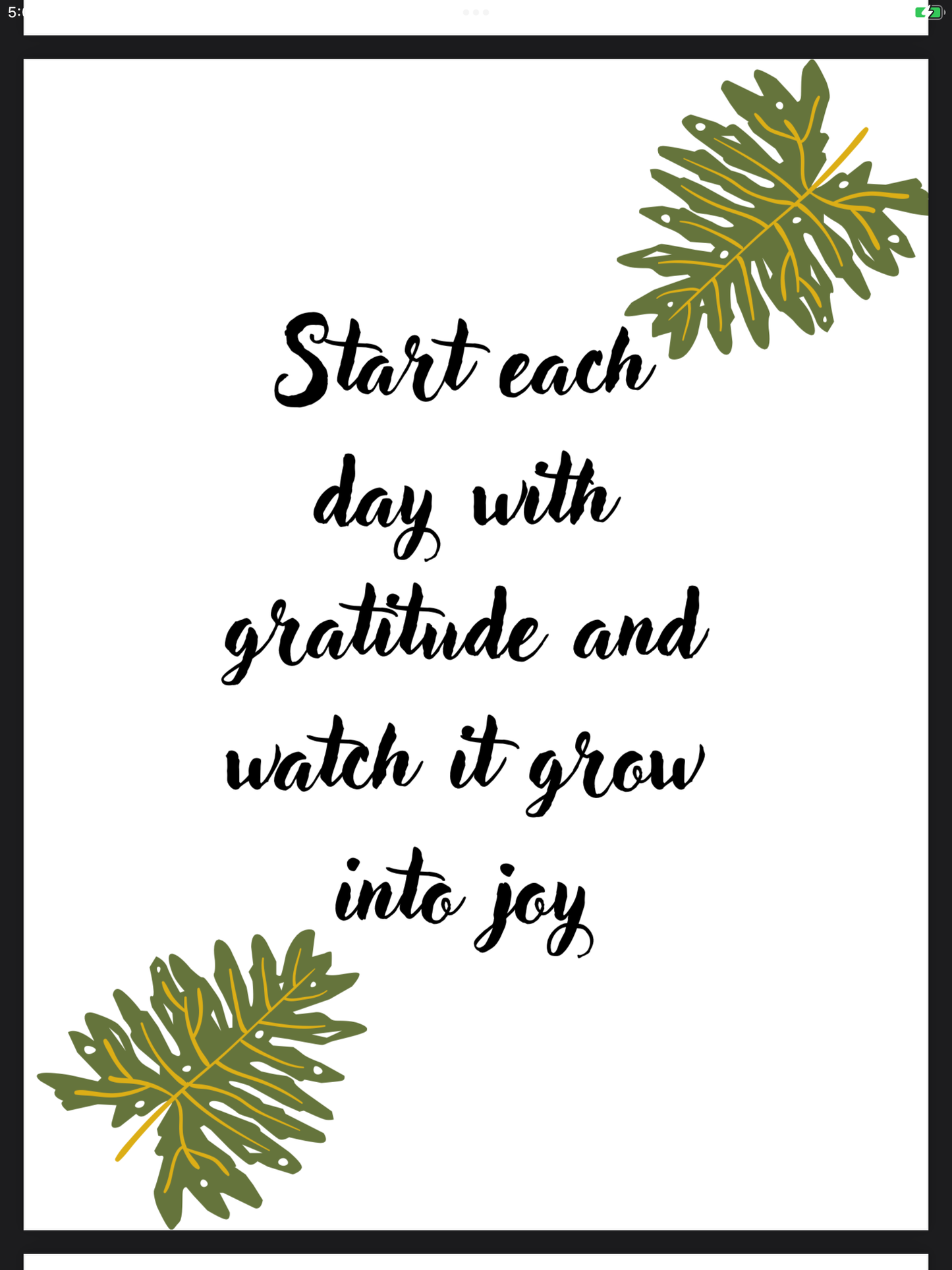 Be Wild But Stay Soft Digital Planner