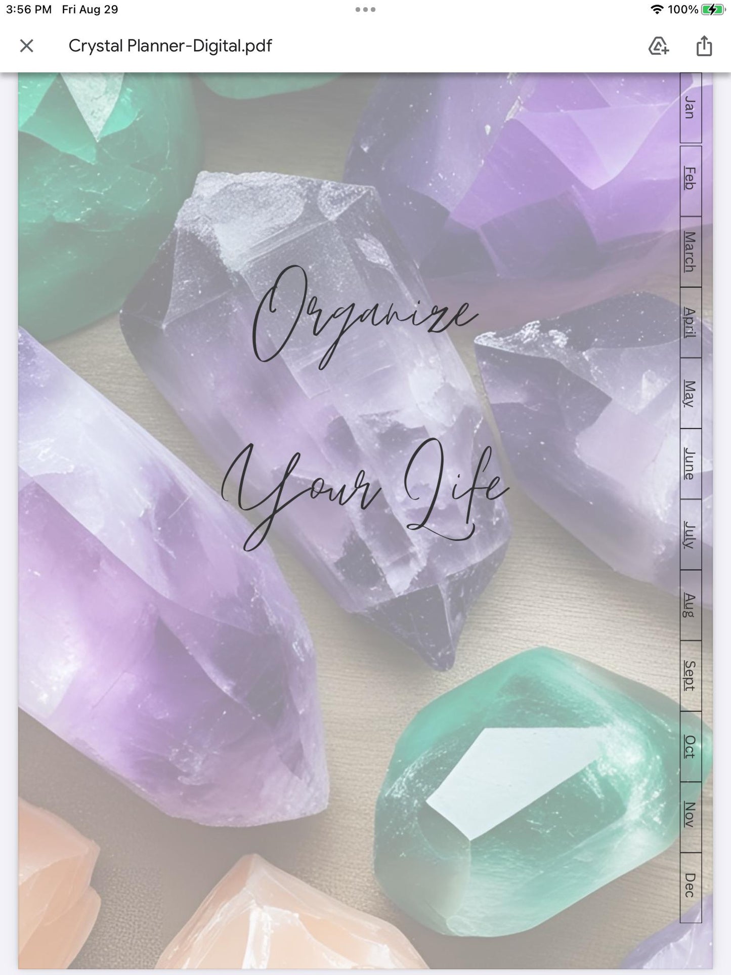 Organize Your Life Weekly Planner