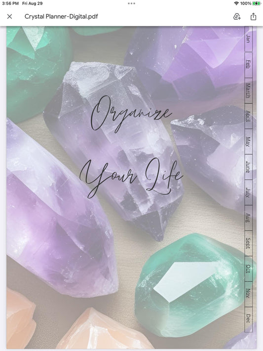 Organize Your Life Weekly Planner